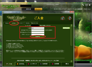 net8.png